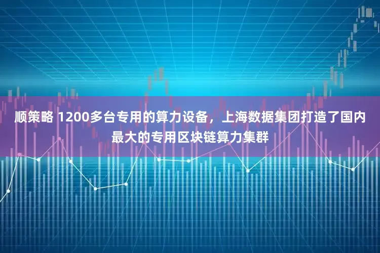 顺策略 1200多台专用的算力设备，上海数据集团打造了国内最大的专用区块链算力集群