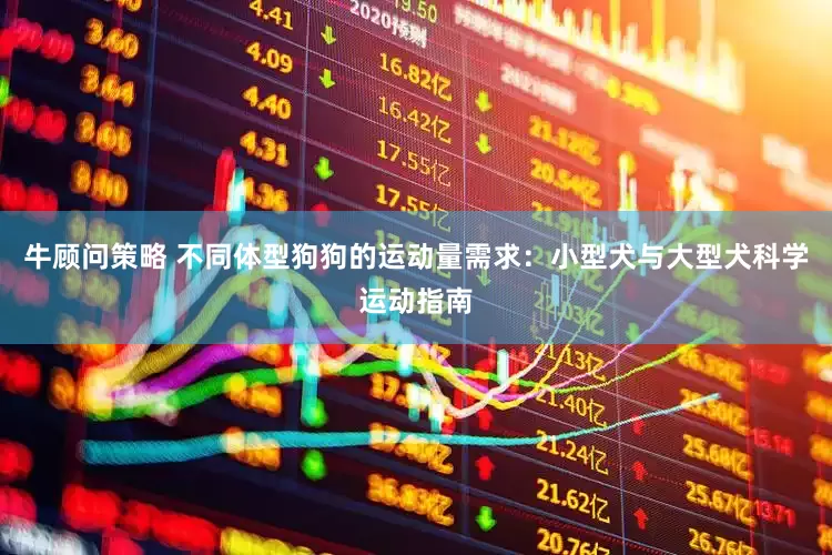 牛顾问策略 不同体型狗狗的运动量需求：小型犬与大型犬科学运动指南