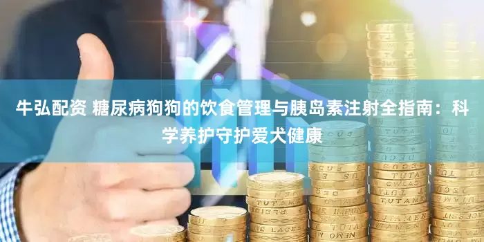 牛弘配资 糖尿病狗狗的饮食管理与胰岛素注射全指南：科学养护守护爱犬健康